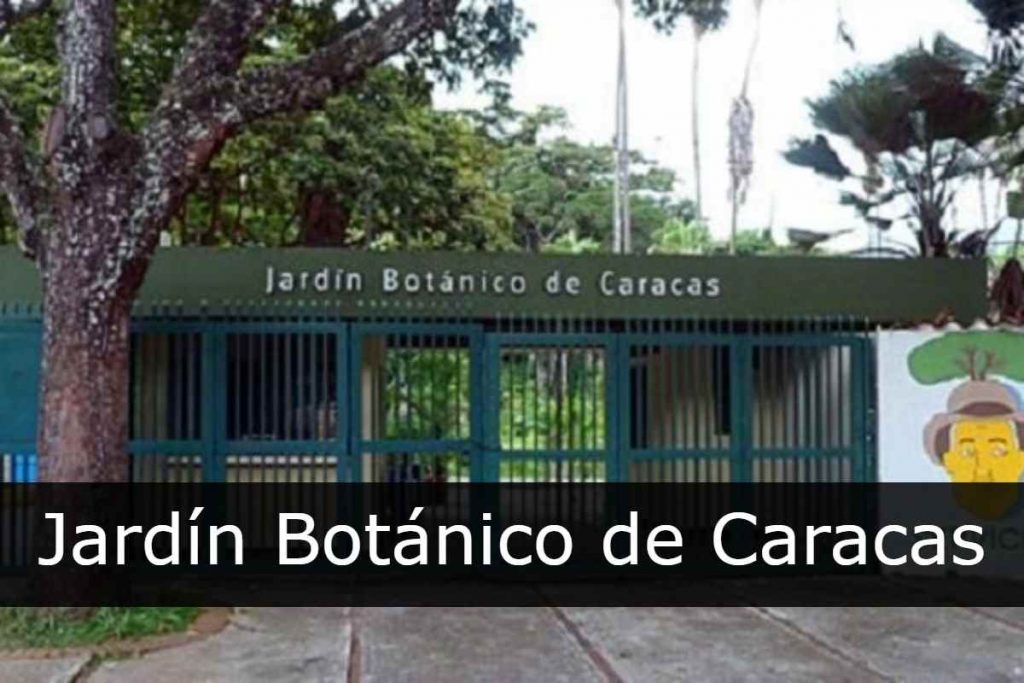 Jardín Botánico de Caracas