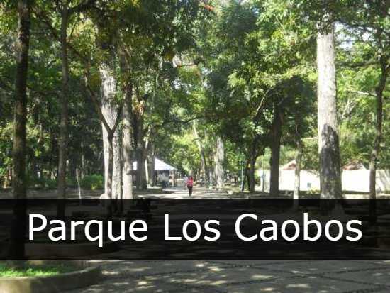 Parque Los Caobos 