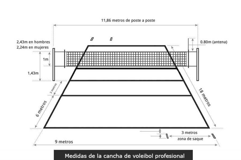 Medidas de la cancha de voleibol – Caracas.com.ve