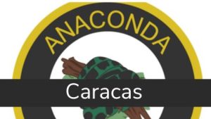 Anaconda Security C.A 